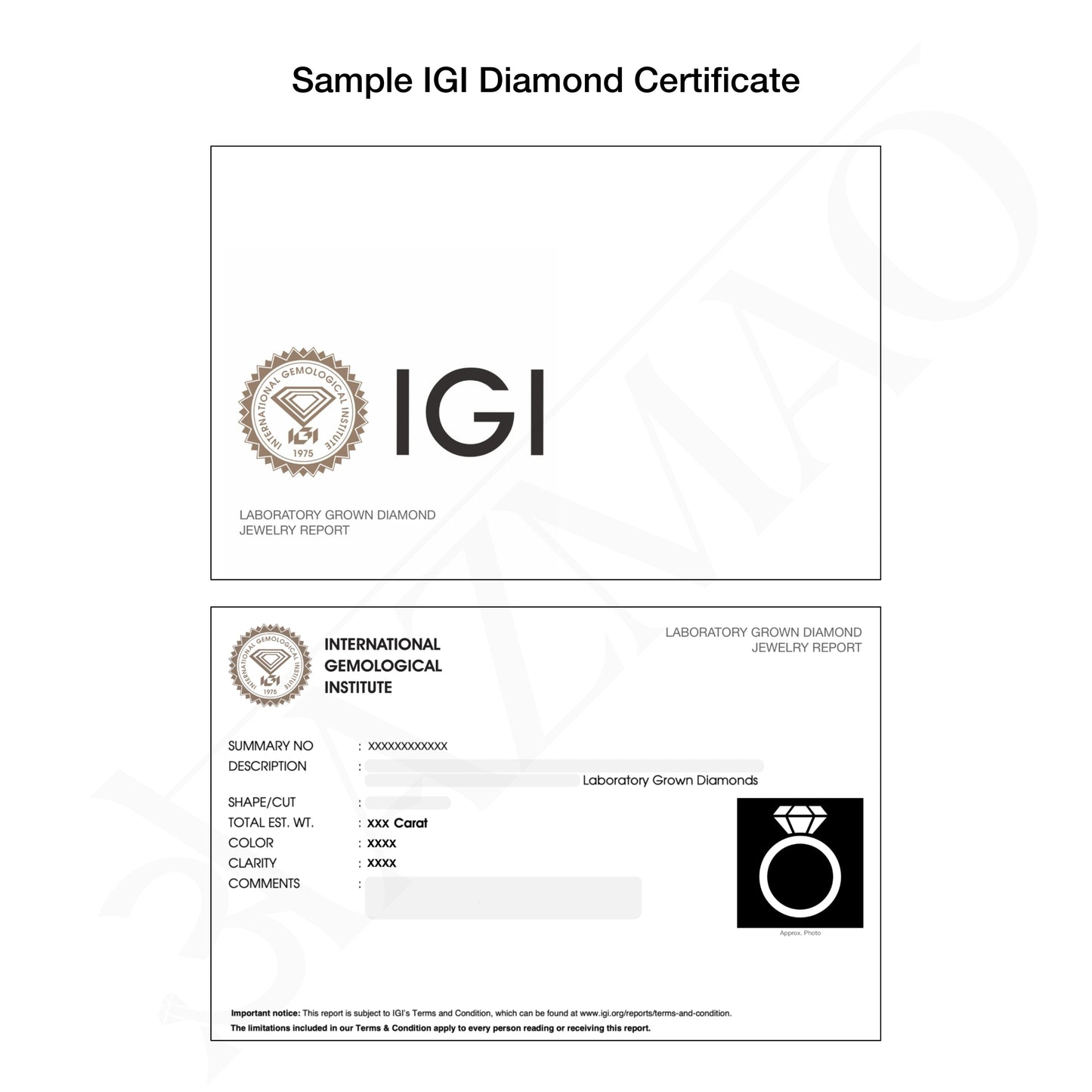 sample IGI diamond jewellery certificate for aazmao jewellery 